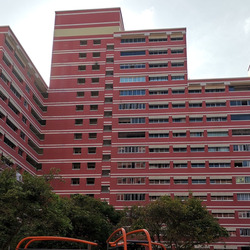 Blk 608 Elias Road (Pasir Ris), HDB Executive #275875821